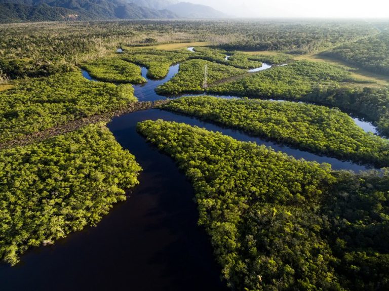 Os desafios do PAIS, o (novo) projeto para conectar a Amazônia